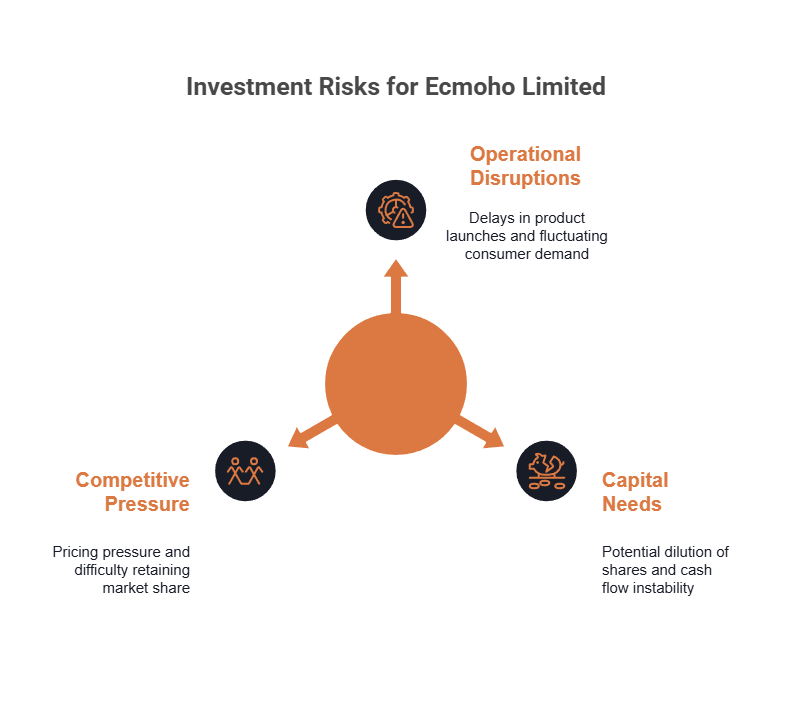 A chart shows key investment risks with Ecmoho Limited.